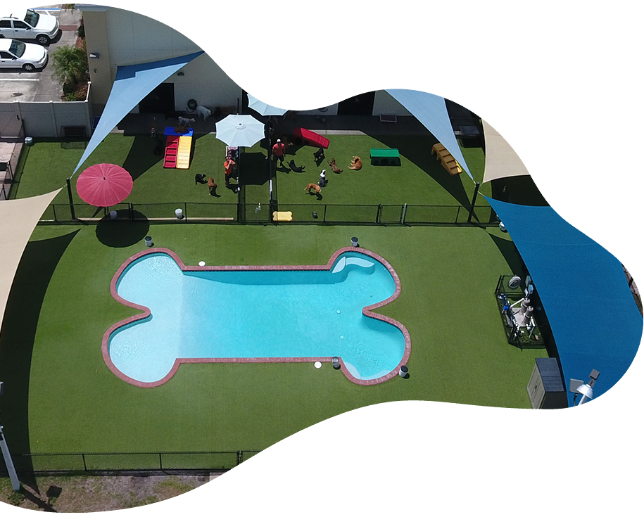 Happy Paws Orlando We are your pet's best friend, while you are away!